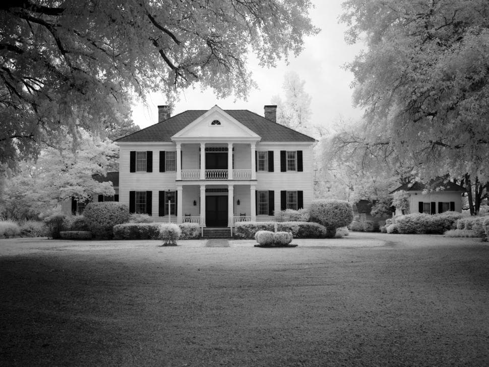 White House Design Ideas With Black Accents